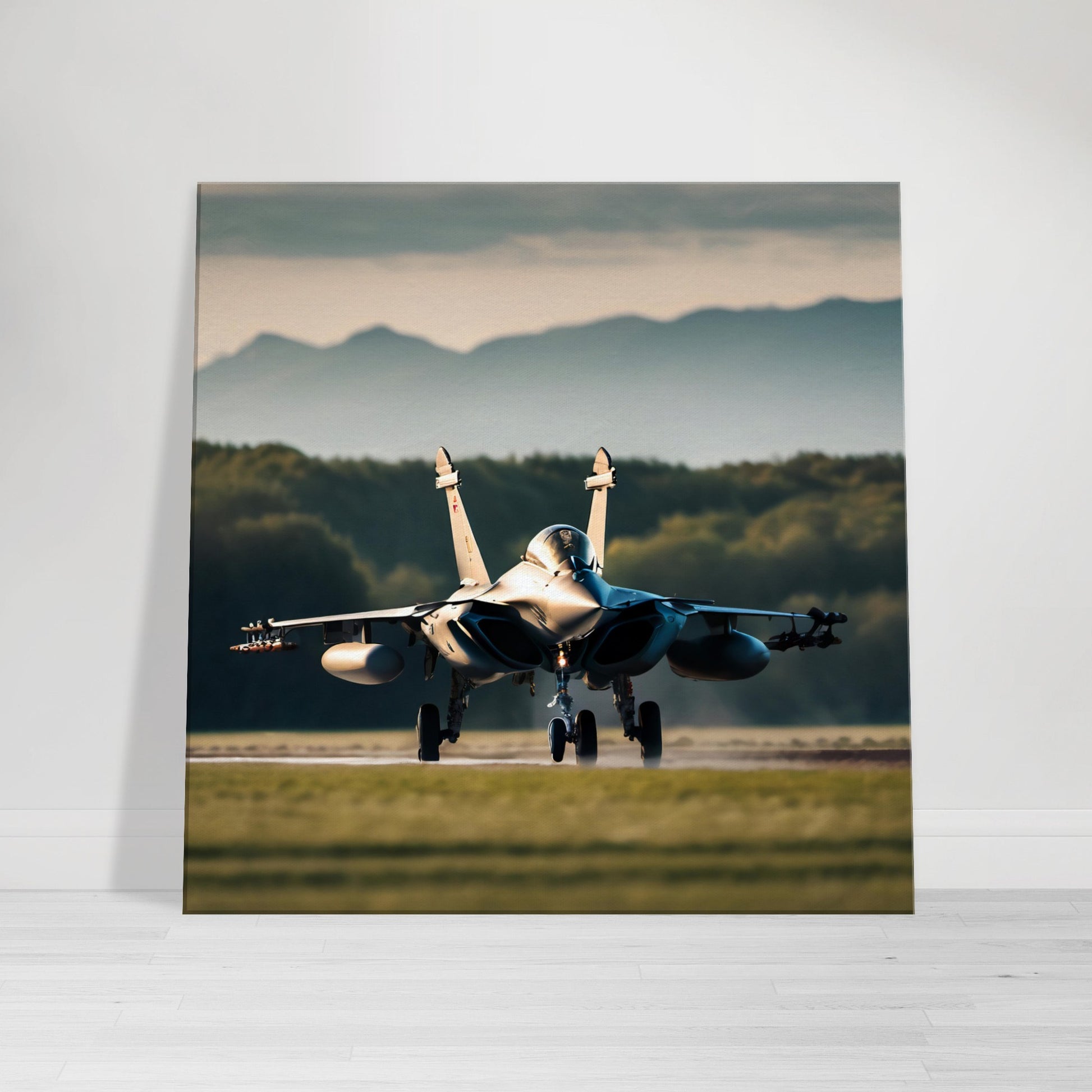 tableau avion de chasse